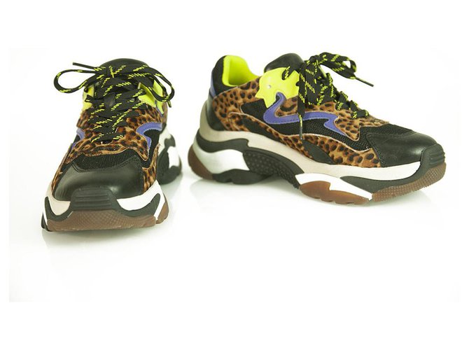 Inconcebible más Esmerado Ash Zapatillas deportivas de piel y pelo de becerro multicolor ceniza  Zapatos con cuña 39 Cuero ref.314390 - Joli Closet