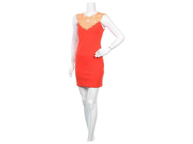 Ted Baker Kleid Rot
