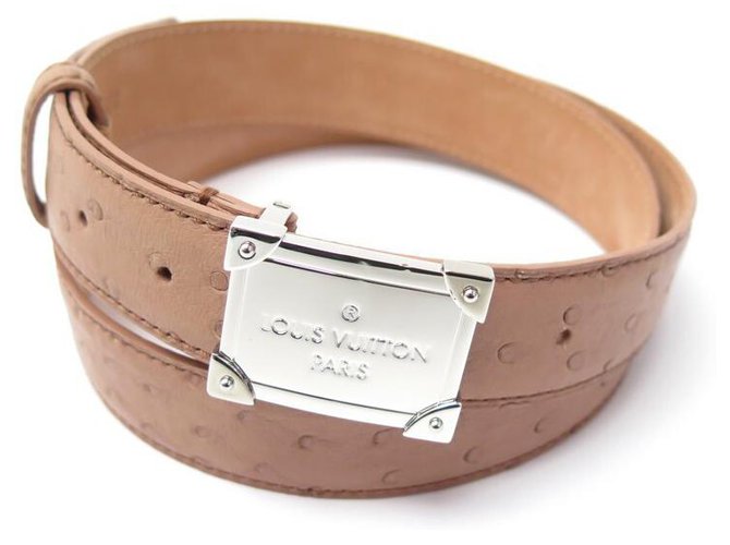 Louis Vuitton, Accessories, Louis Vuitton Womens Brown And Tan Belt