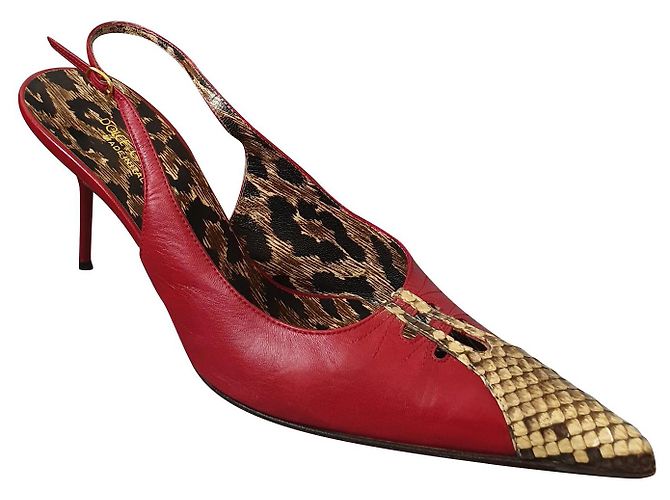 Décolleté Dolce & Gabbana in pelle rossa e pelle di serpente Multicolore