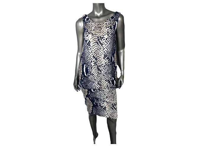 Diane Von Furstenberg DvF Mercedes Seidenkleid mit Python-Print Mehrfarben
