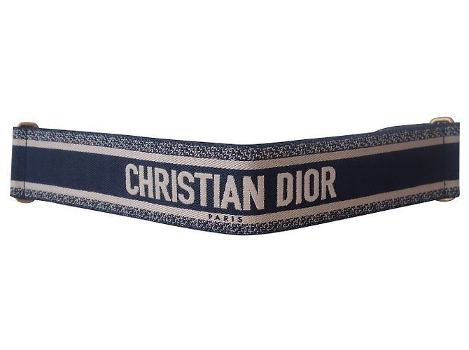 Cintura Dior Book Tote