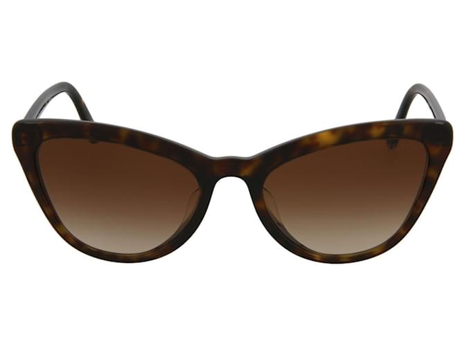 Prada Gafas de sol de acetato con montura de ojo de gato Castaño  ref.366730