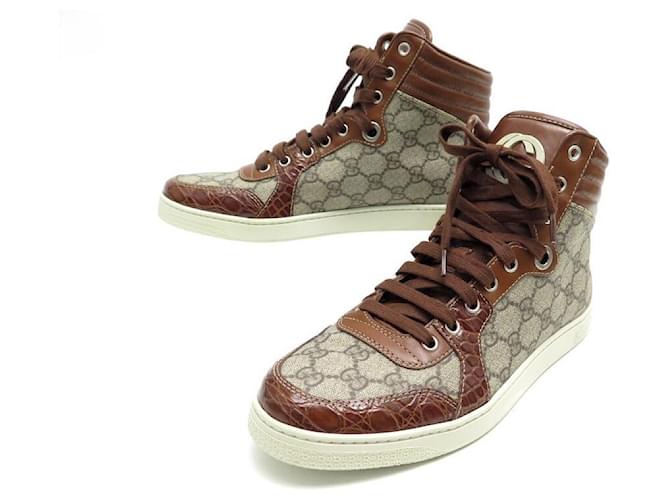 NEW GUCCI BASKETS CODA HIGH TOP GUCCISSIMA CANVAS SHOES 7.5 41.5 SHOES Brown Leather ref.376058 Joli Closet