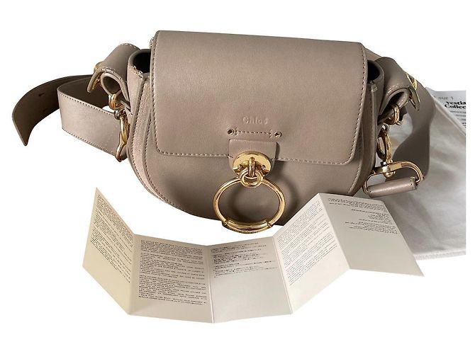 Chloé Tess kleine Lederhandtasche grün und grau