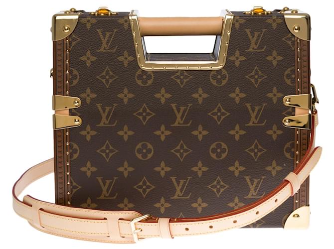 Louis Vuitton Pochette bag with chain Brown Cloth ref.142682 - Joli Closet