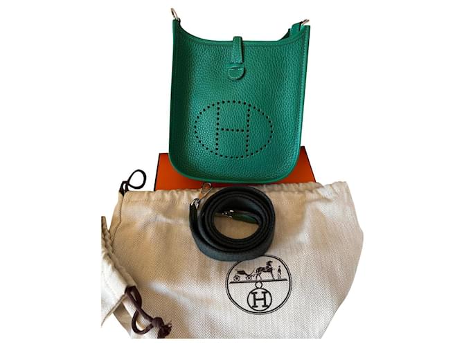 Hermès Handbags Green Leather  ref.389408