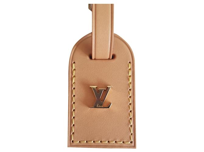 Louis Vuitton Bolsas, carteiras, casos Castanho claro Couro  ref.392129