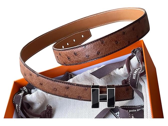 Hermès Belts Brown Exotic leather  ref.399924