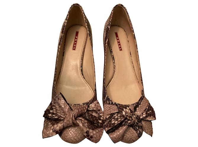 Prada Brown Python Bow Pumps Brown Exotic leather  ref.406208