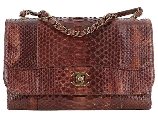 Chanel - Brown Exotic leather  ref.412590