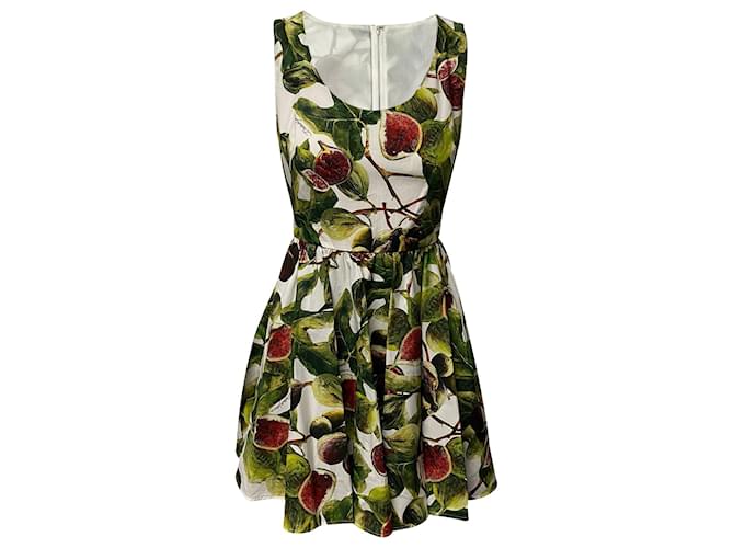 Dolce & Gabbana Fig Poplin Mini Dress in Green Cotton  ref.421870