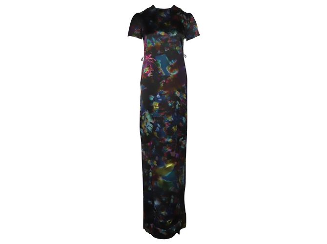 Erdem Aurelia Maxi Abito in Seta Stampata in Seta Multicolor Stampa python