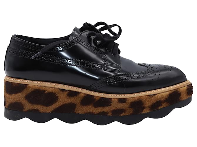 leopard brogues