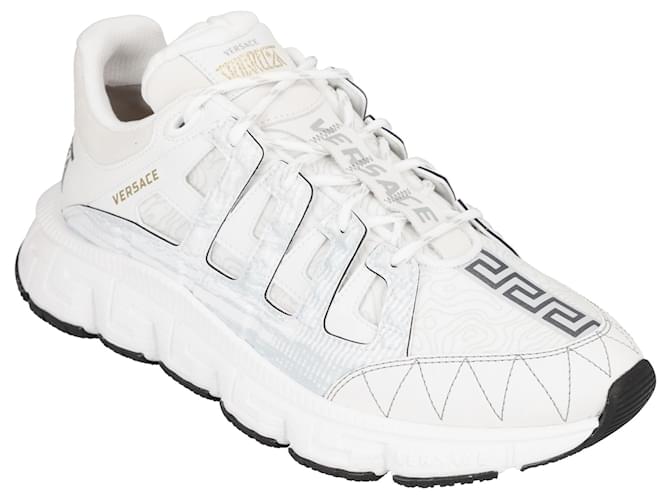 trigreca versace