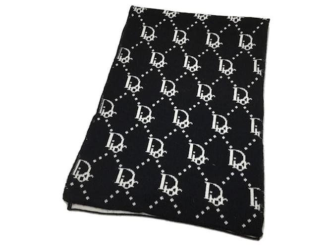 christian dior men scarf