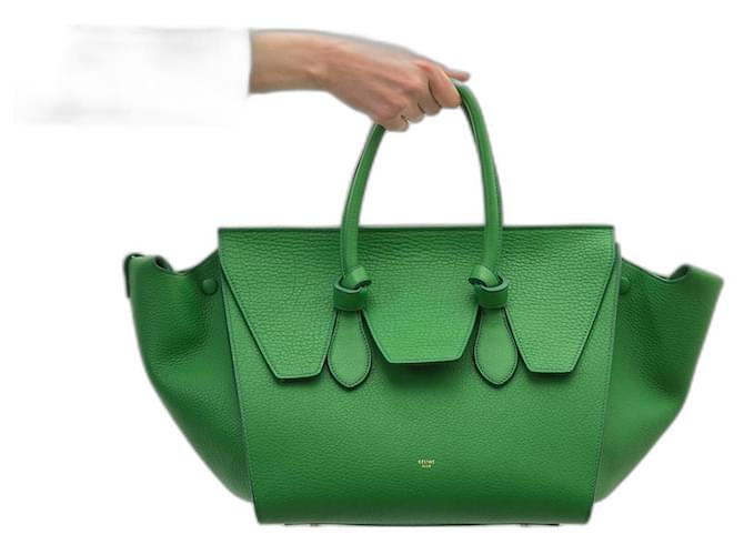 Tie Bag Céline Celine bag Green  ref.452732