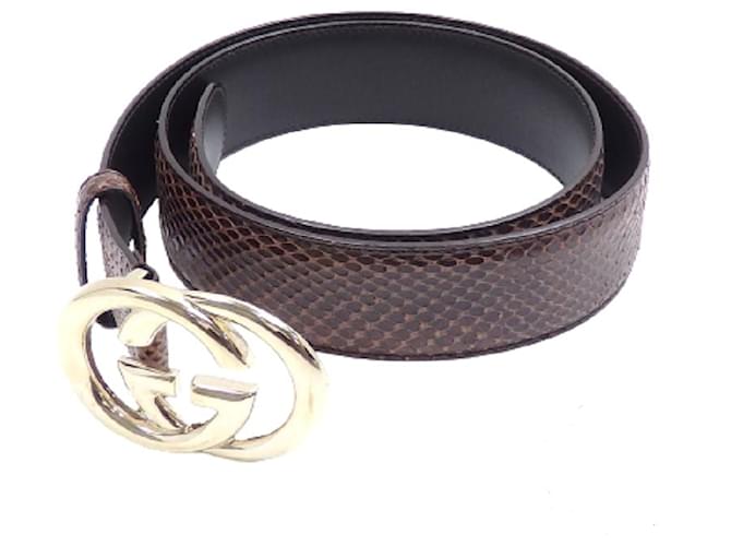 Gucci Snake Belts for Men