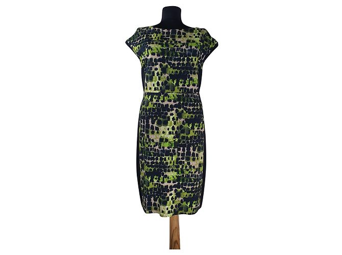 Vestido Max Mara de viscosa Multicolor