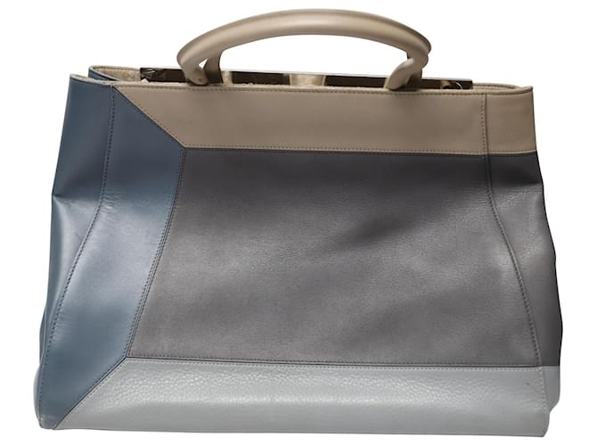 Fendi 2Jours Vitello Tote Bag in Multicolor Leather Multiple colors  ref.477926