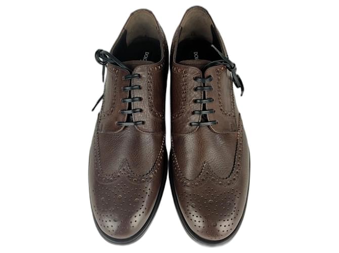 Dolce & Gabbana Derby Brogue shoes Brown Leather  ref.492447