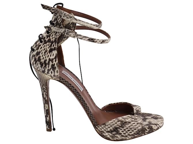 Tabitha Simmons Viva Snake-effect Ankle Heels in Multicolor Leather Multiple colors  ref.494844