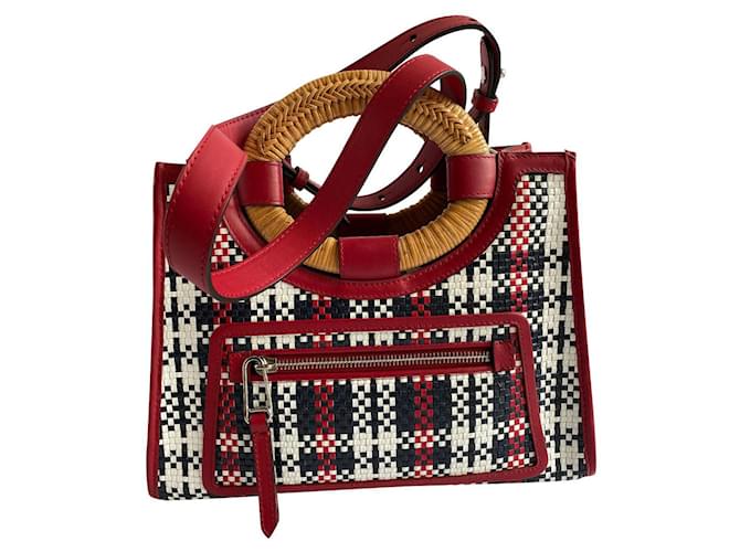 Fendi Handbags Multiple colors Straw  ref.503404