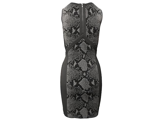 Diane Von Furstenberg Snake Print Dress in Grey Rayon Cellulose fibre  ref.519873