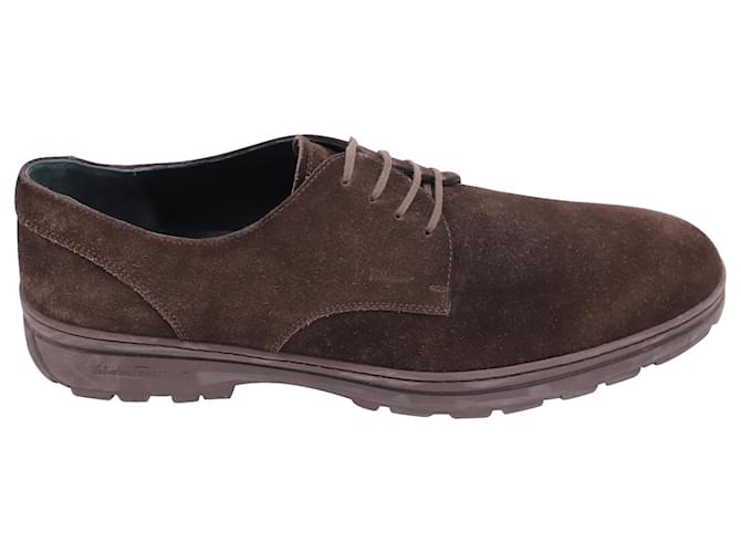 Salvatore Ferragamo Lace Up Shoes in Brown Suede  ref.522321
