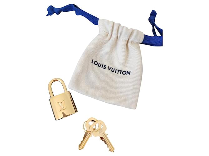 Louis Vuitton Purses, wallets, cases Golden Metal ref.546974 - Joli Closet