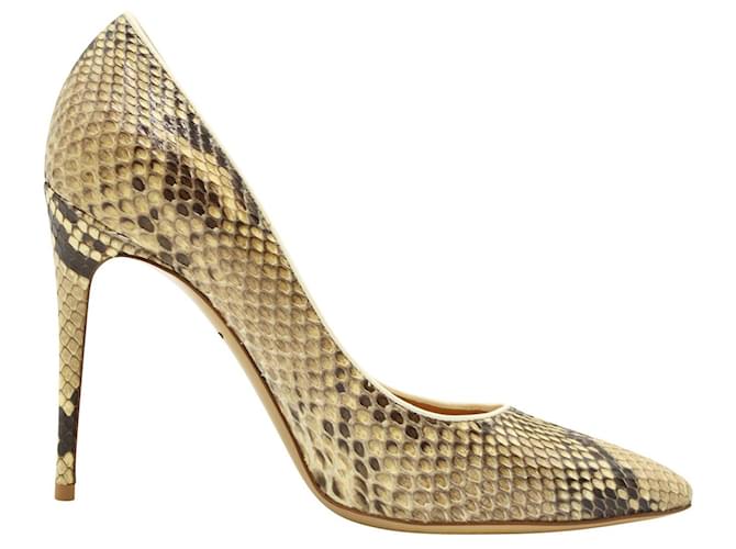 Salvatore Ferragamo Snakeskin heels Leather  ref.548100