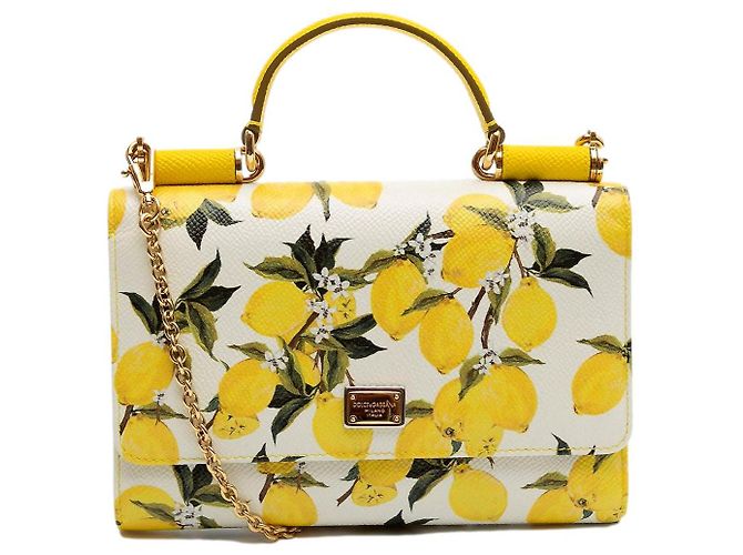 BOLSA Dolce & Gabbana