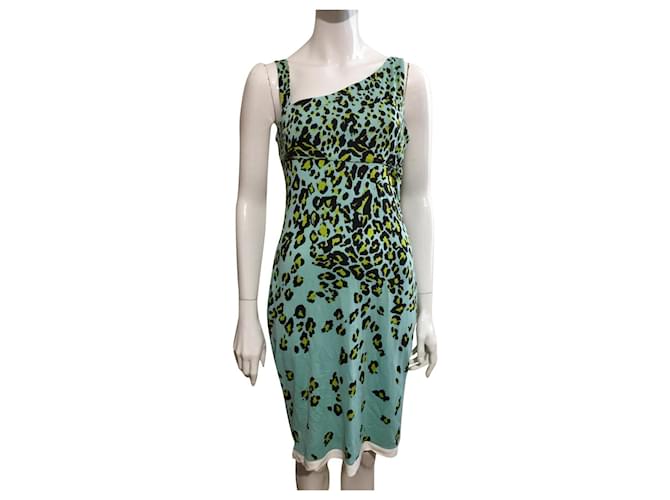 Diane Von Furstenberg DvF Nomie silk dress with cheetah eye print Multiple colors Turquoise  ref.554366