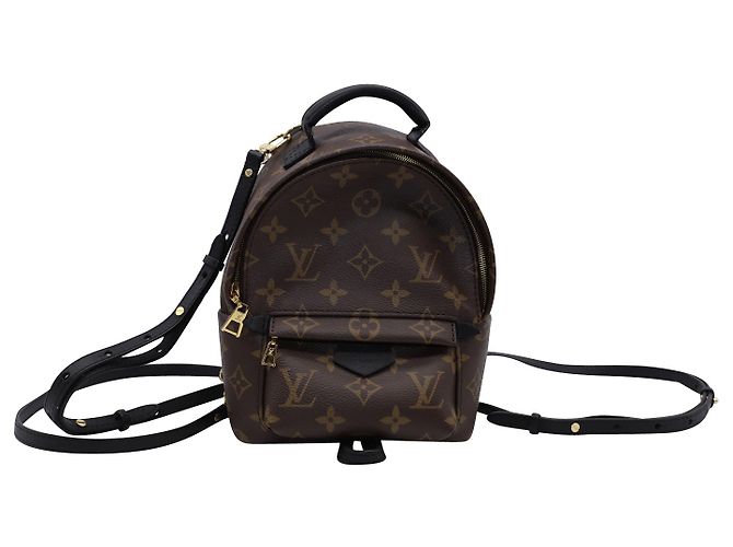 Twist Louis Vuitton Palm Springs Mini Backpack in Brown Leather