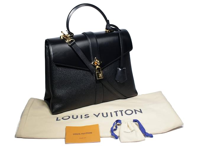 Pre-owned Louis Vuitton Rose Des Vents Black Leather Pm Bag