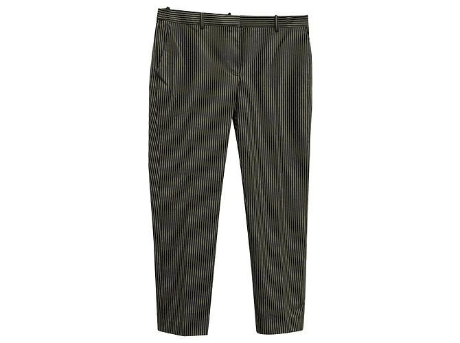 Pantaloni Theory a righe in cotone bianco e nero Stampa python