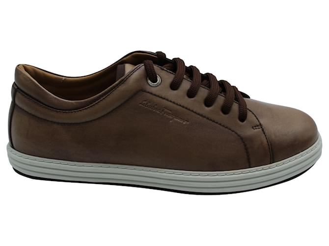 Salvatore Ferragamo Sneakers in Brown Leather  ref.571300