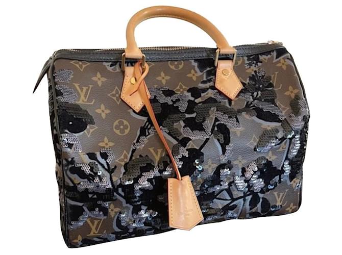Speedy Louis Vuitton Bolsos de mano Castaño Negro Beige Cuero Paño  ref.586539
