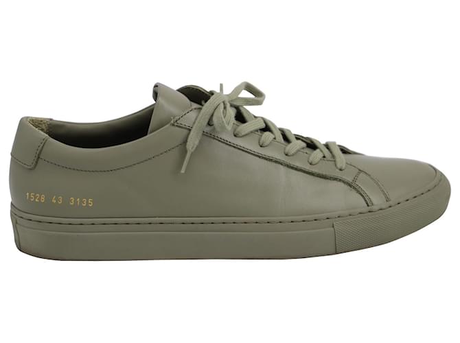 Common projects achilles low on sale green