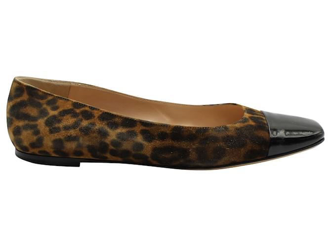 Sapatilhas de balé Gianvito Rossi com estampa de leopardo em camurça animal print Suécia  ref.609845