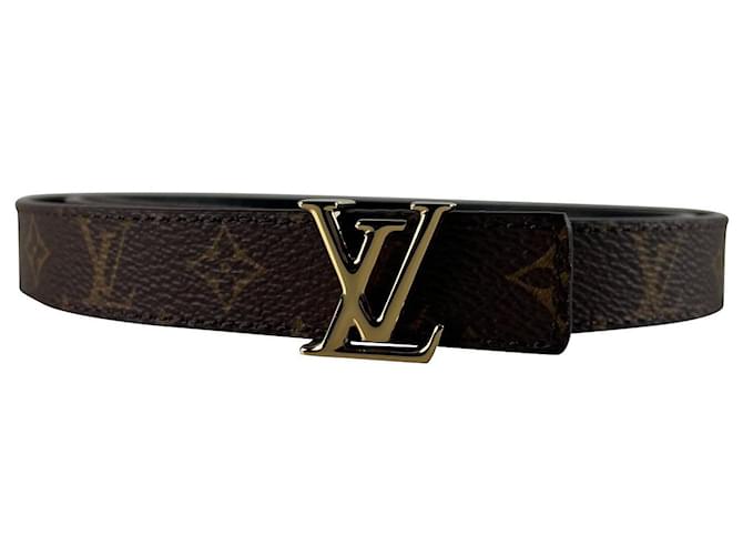 Louis Vuitton LV Iconic Belt 20mm Reversible Brown Cloth  ref.615488