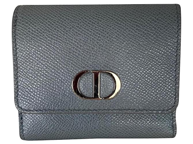 Dior Purses, wallets, cases Grey Leather  ref.616367