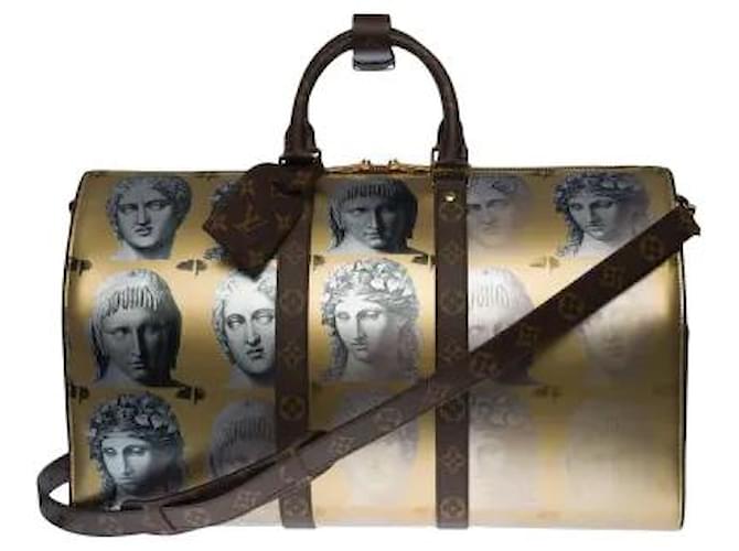 Louis Vuitton Travel bag Multiple colors  ref.624756