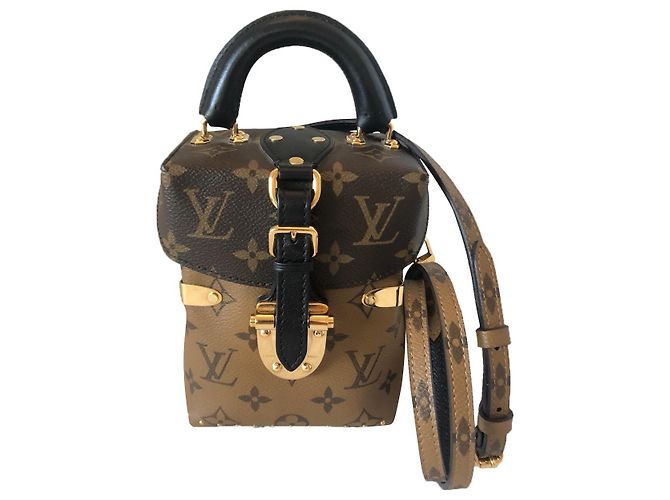 Débarras Louis Vuitton Marron