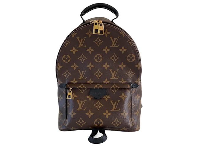 Louis Vuitton Palm springs backpack PM monogram Brown Cloth  ref.630611
