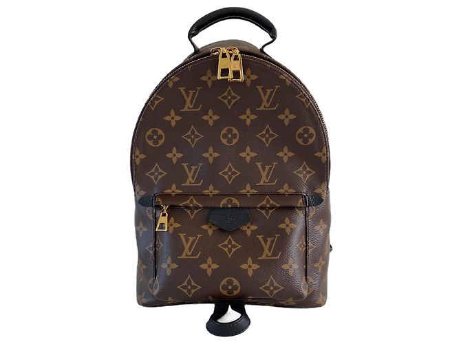 Louis Vuitton Palm Springs Rucksack PM-Monogramm Braun