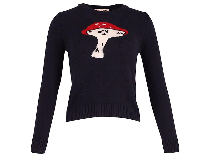 Alexa Chung Fun Guy Intarsienpullover aus marineblauer Wolle