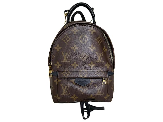 Louis Vuitton Palm Springs Mini Monogram