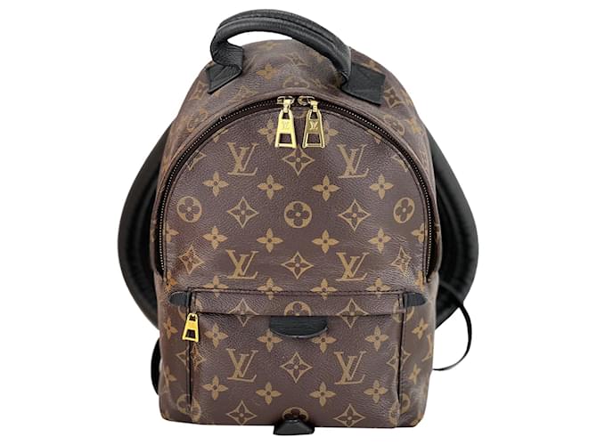 Louis Vuitton Palm Springs LV backpack new Brown Leather ref