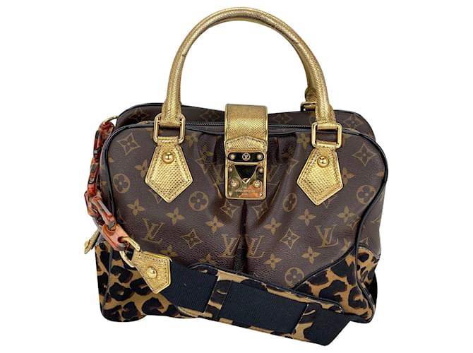 Louis Vuitton Speedy 30 Canvas Handbag (pre-owned) in Metallic